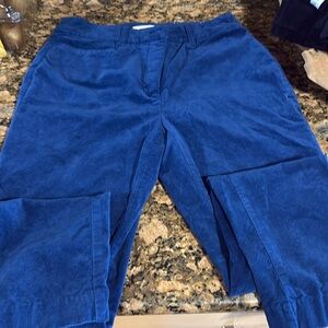 Loft blue Sutton skinny pants